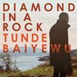 Tunde Baiyewu - Diamond In A Rock